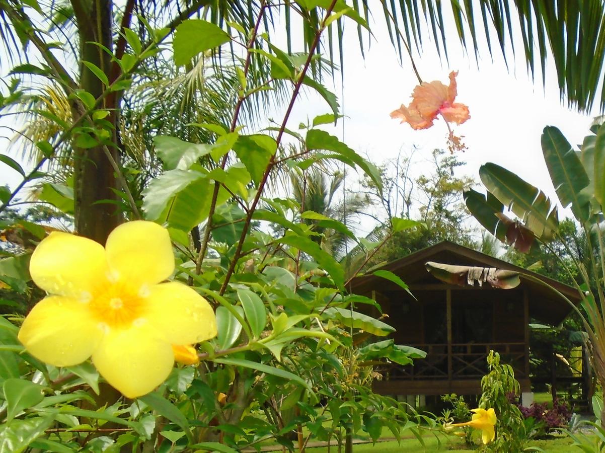 J&H Garden Cabinas Bocas del Toro Exterior foto